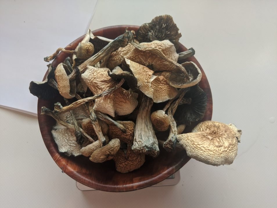 Buy B+ Magic Mushrooms