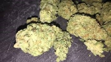 White Widow Weed UK