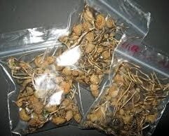 Buy Liberty Caps UK