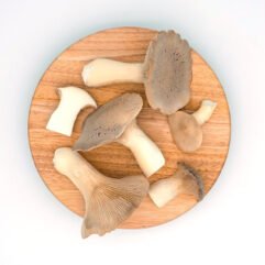 Buy King Oyster Mushrooms
