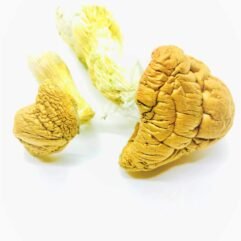 Buy Malabar Mushrooms UK