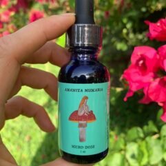 Red cap mushroom microdose 1 oz